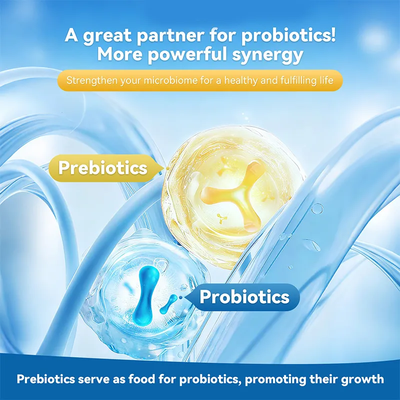 OEM Probiotic Gummies Ingredients