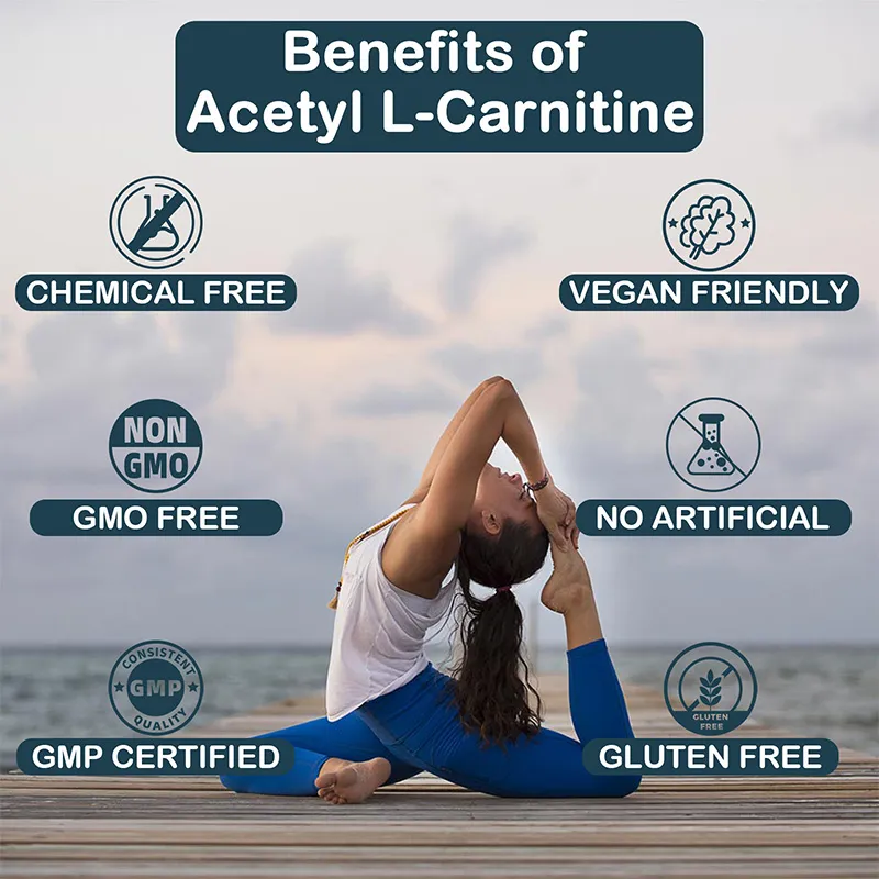 OEM Acetyl L-Carnitine Gummies Benefits