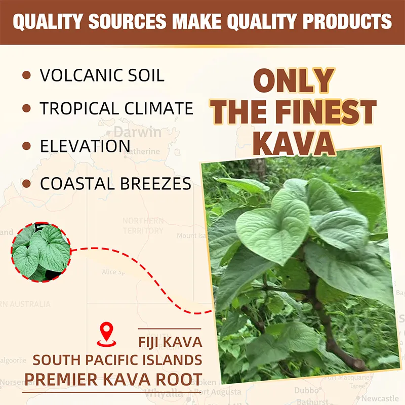 OEM KAVA Gummies Supplement